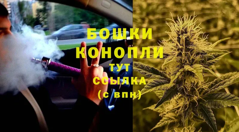 Каннабис White Widow  Багратионовск 